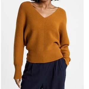 Express V-Neck Dolman Sleeve Sweater